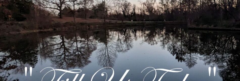 Fill Us Today - Christmas Morn title on a lake reflecting trees at sunrise